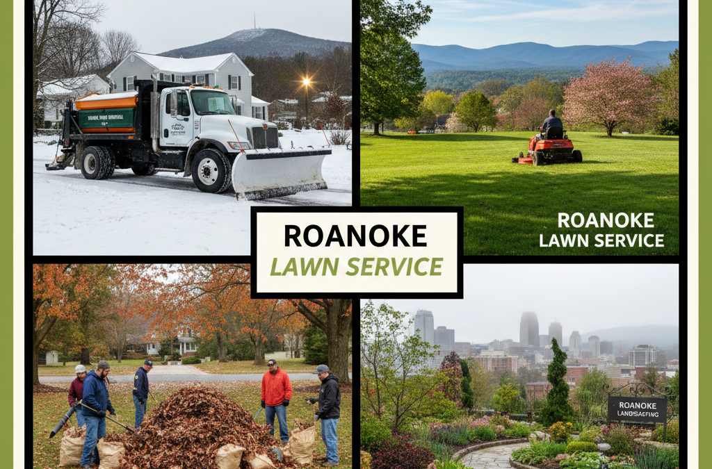 Snow Removal Roanoke VA