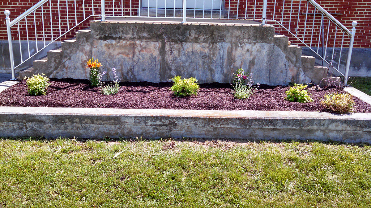 lawn care in roanoke va