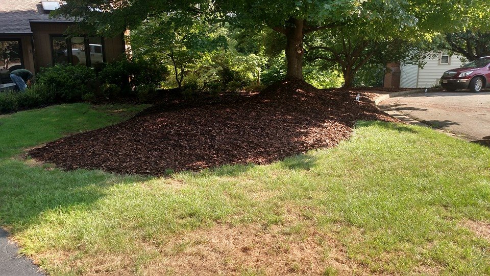 lawn care roanoke va