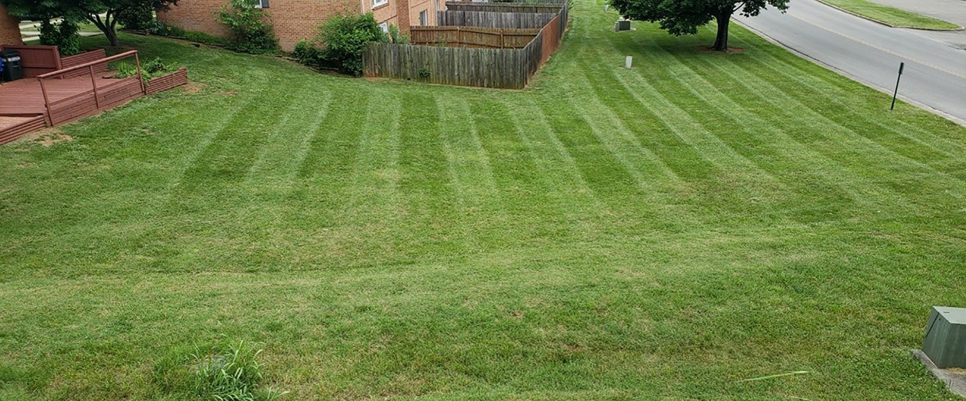 Are Landscaping Services in Roanoke, VA a Smart Long-Term Investment?