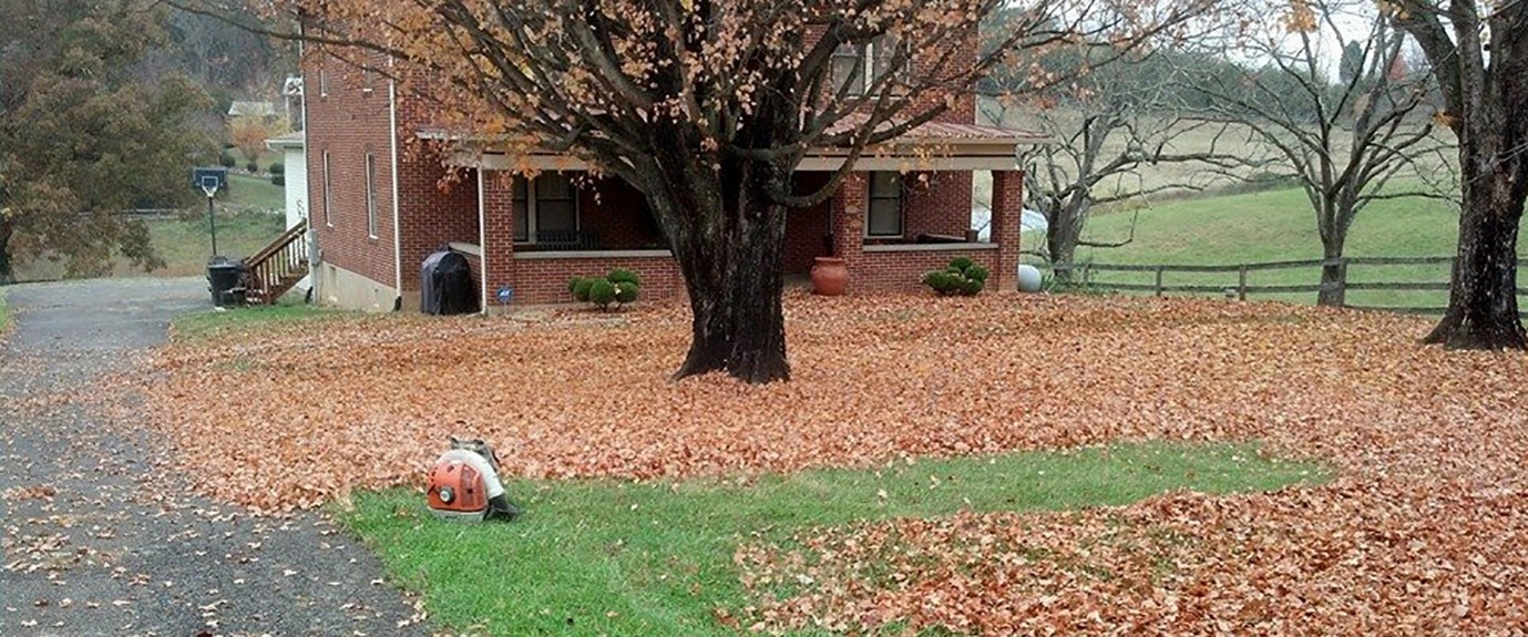 What Is the Difference Between Lawn Care and Landscaping Services in Roanoke, VA?