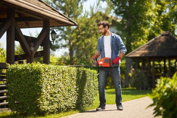 How Can Businesses Tell Whether Their Lawn Needs Aeration, Overseeding, or Routine Maintenance?